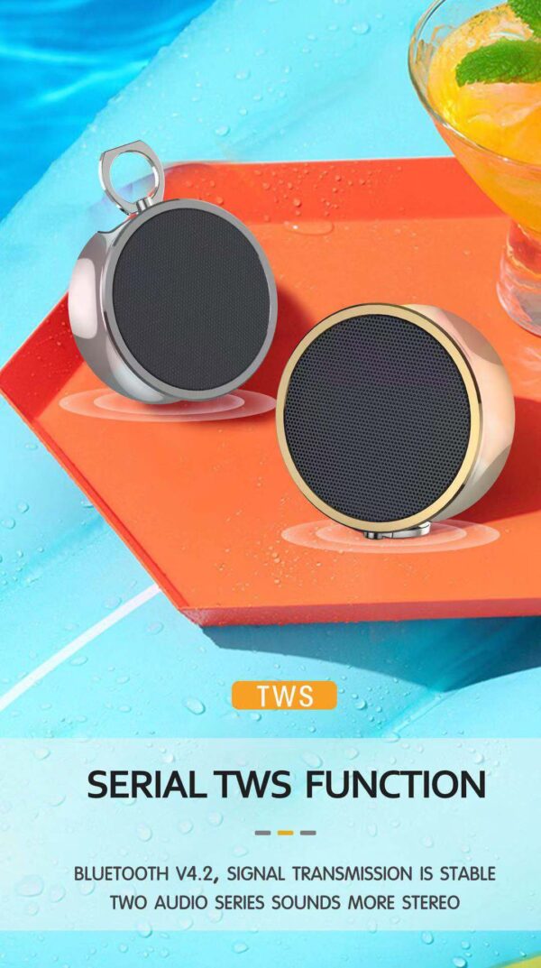Portable Small Speaker AS-BS07