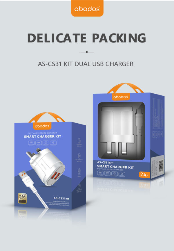 AS-CS31 UK Dual USB charging KIT